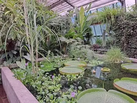 Photo de Palmenhaus im Hofgarten
