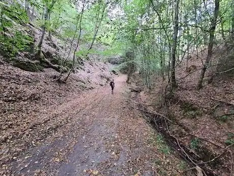 Photo de Traumschleife Hasenkammer