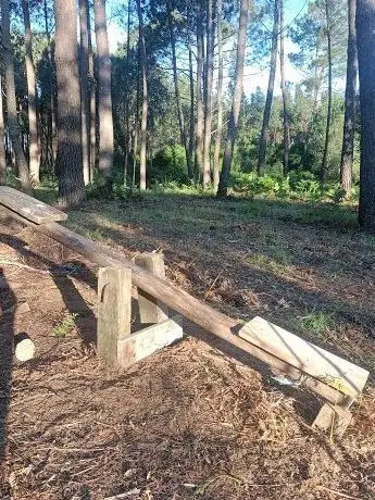Photo de Parque do Rato