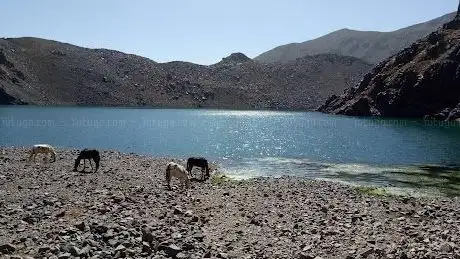 Photo de الطريق الى بحيرة افني