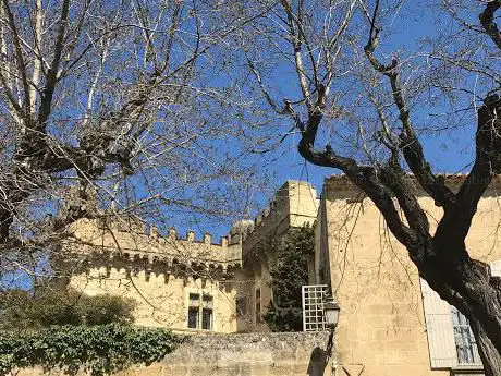 Photo de Château de Montaren