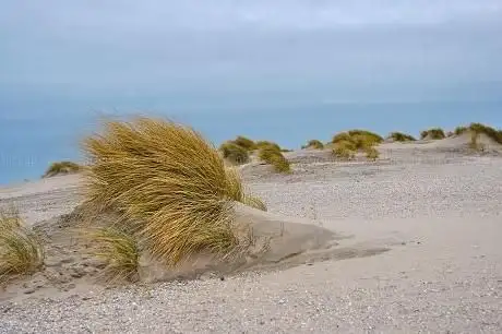 Foto de Moteur de sable