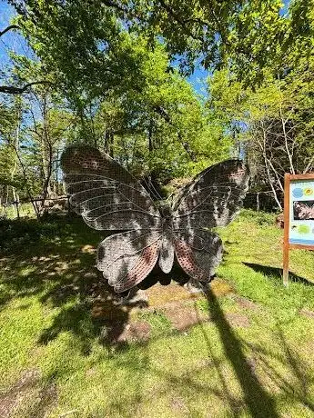 Photo of Parc Nature et Faune - Les Jours Heureux