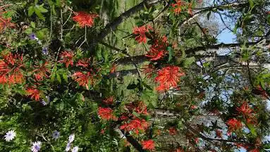 Photo de Ar Paeron Botanical Garden