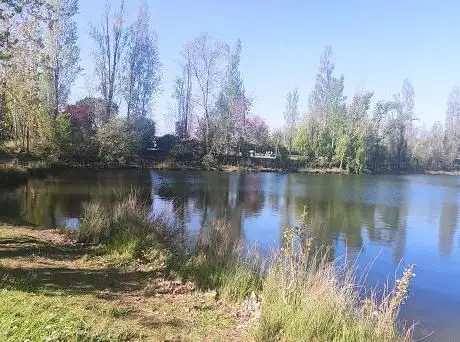 Photo de Parc du Bois Vieux