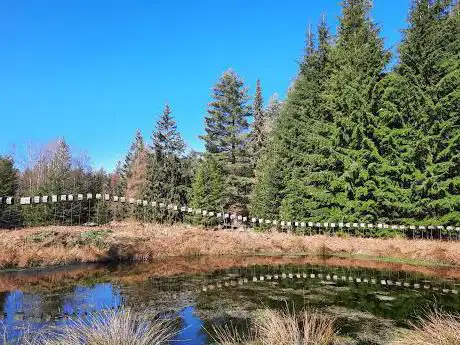 Photo de Arboretum de Mefferscheid