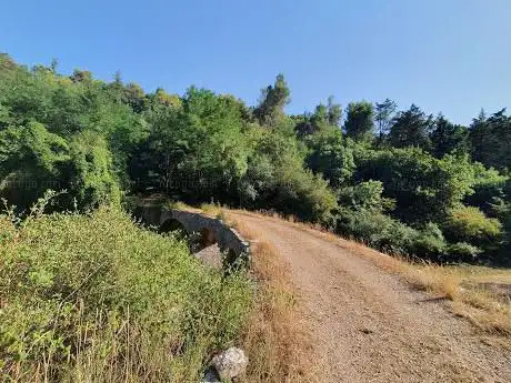 Photo de Bosco di Acquatetta