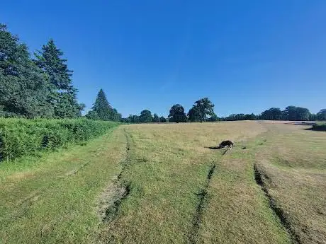 Photo of Mersham le Hatch  Deer Park