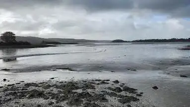 Photo de South and East Cork Bird Trail