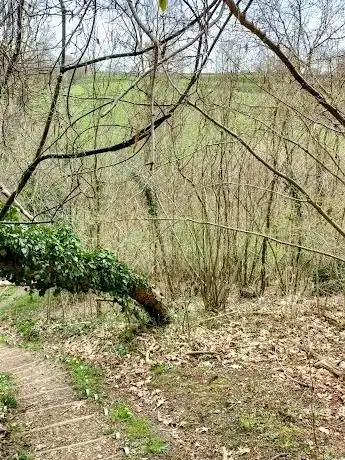 Photo de Valkenburg a/d Geul