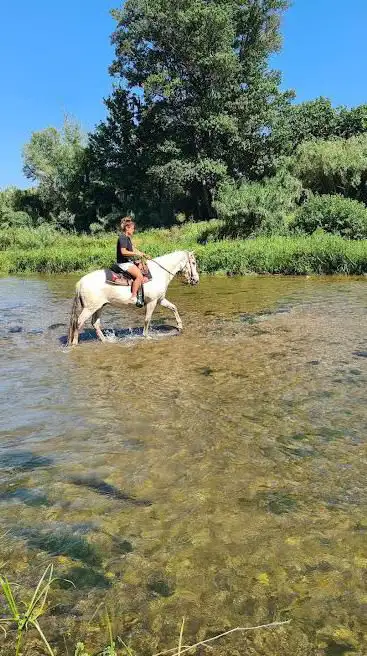 Photo de Écurie Les Crins de Pauline
