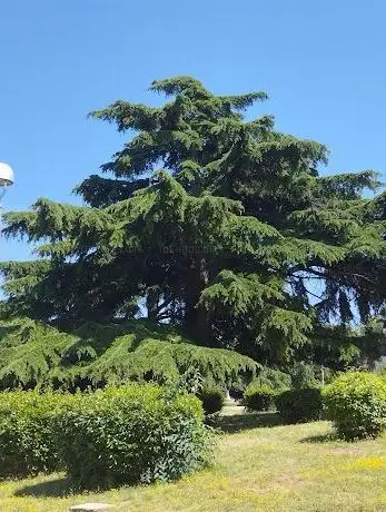 Photo de Montezaro Park
