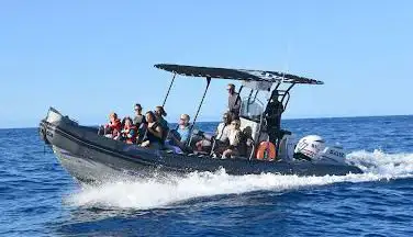 Photo of CetaSea Balade en mer dauphins et baleines â la Réunion