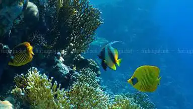 Photo de AQUASCOPE