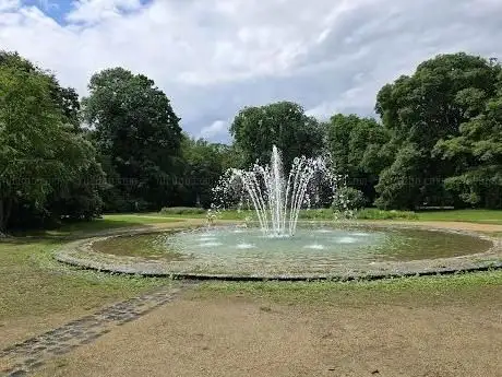 Photo de Fuente de Bachata