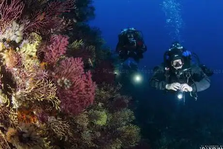 Photo of Diving Center Megale Hellas