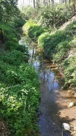Photo de Fontanile Bongiovanni
