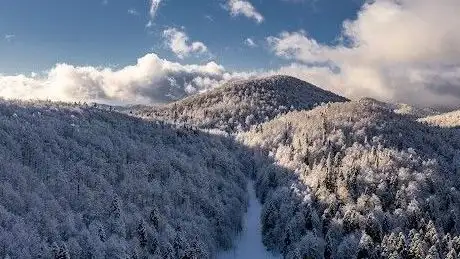Photo de Vrbovska poljana