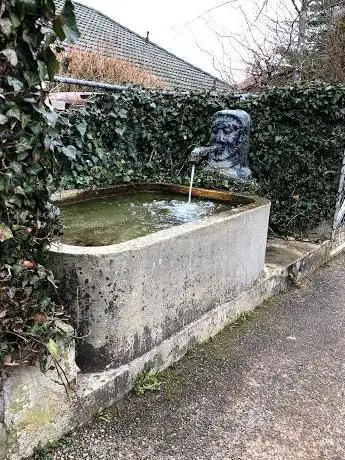 Photo de Fontaine des Pestiférés