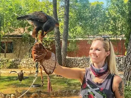 Photo de Falconry center