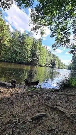 Photo de Stora dammen