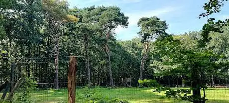 Photo de Parc Animalier gratuit