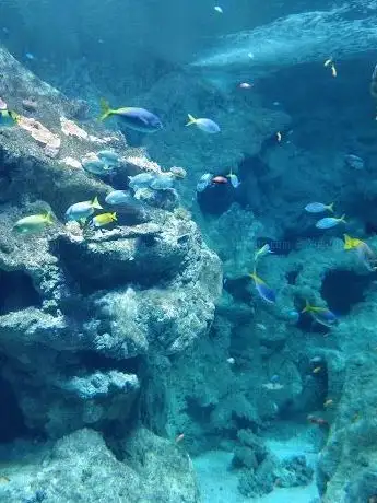 Photo of Pavillon Bretagne