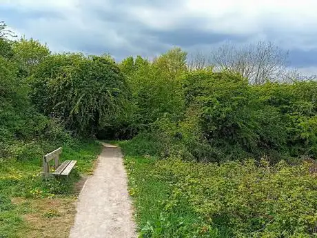 Photo de King's Tamerton Woods Local Nature Reserve