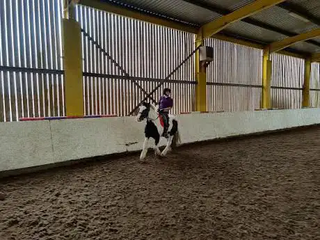 Photo de Cae Hic Livery & Riding Centre