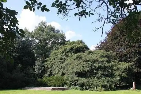 Photo de Volkspark Lauenau