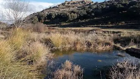 Photo de Cerro de las VÃ­boras