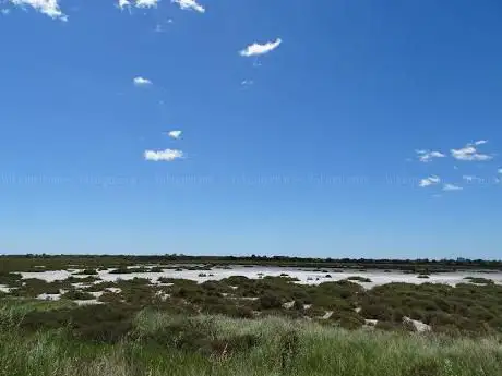Photo de Étang de l'Oiseau
