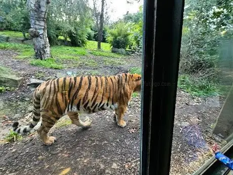 Foto de Zoo de Dublin