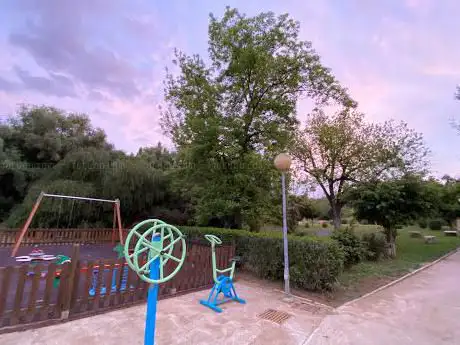 Photo de Nogal Pacano de Parque España