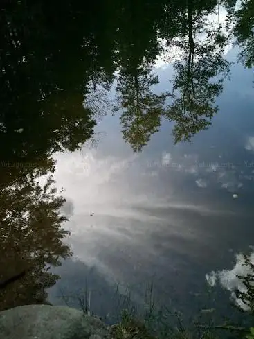 Photo de Etang de la Falle