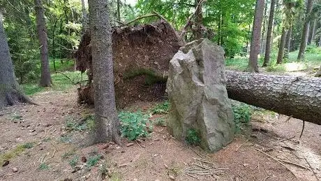 Photo de Menhir Chodník