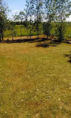 Photo de Balmacassie Community Woodland