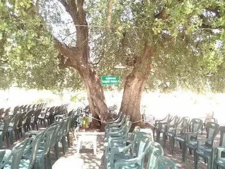Photo de Septem Annos Centrum De Quercu Anatolia