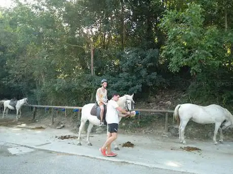 Photo de HÃÂpica LlavorsÃÂ