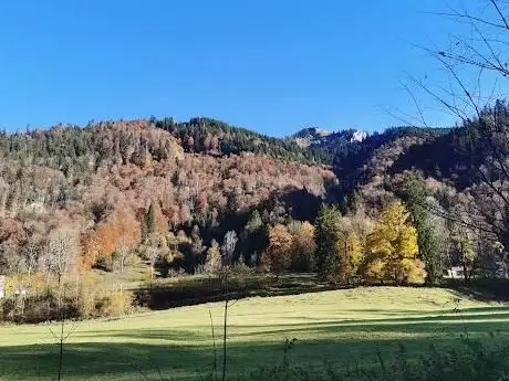 Photo of Röthelmoos Nature Reserve