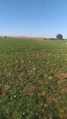 Photo de اثنين شتوكة اقليم الجديدة