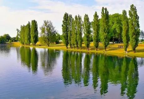 Photo de City Beach