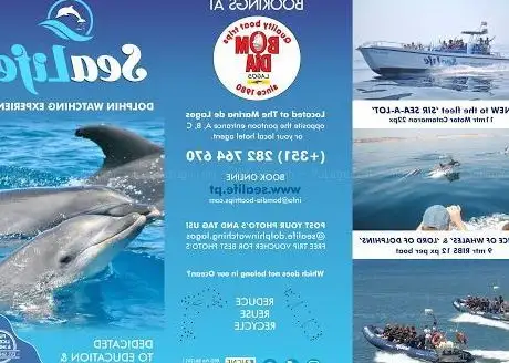 Photo de Sealife Dolphin Watching