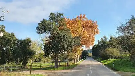 Photo de camiones Park