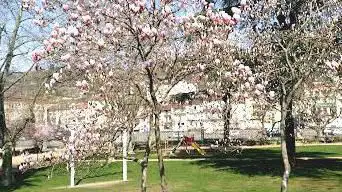 Photo de Botanical Garden