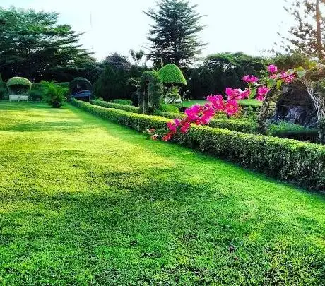 Photo de Jhalobia Landscaping Company and Botanical Garden in Lagos Nigeria