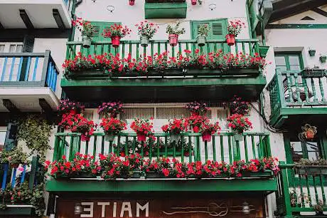 Photo de Servicios Turisticos del Bidasoa