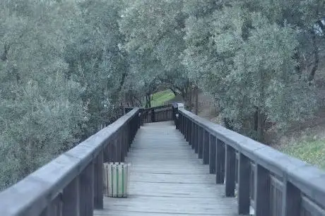 Photo de Necip Fazıl Parkı