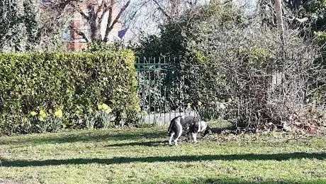 Sidmonton Playground