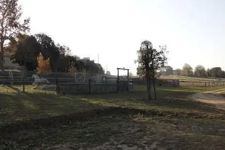 Photo de L'Escut Cavalls